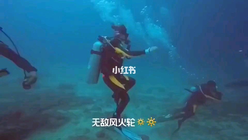 救援小巨鳄