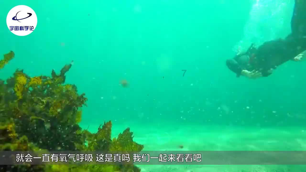 忍者跳跃试炼